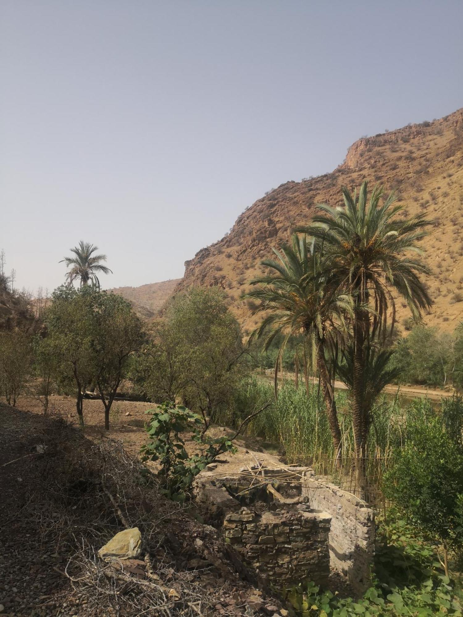 Auberge Kasbah Amoun Taliouine Exteriör bild